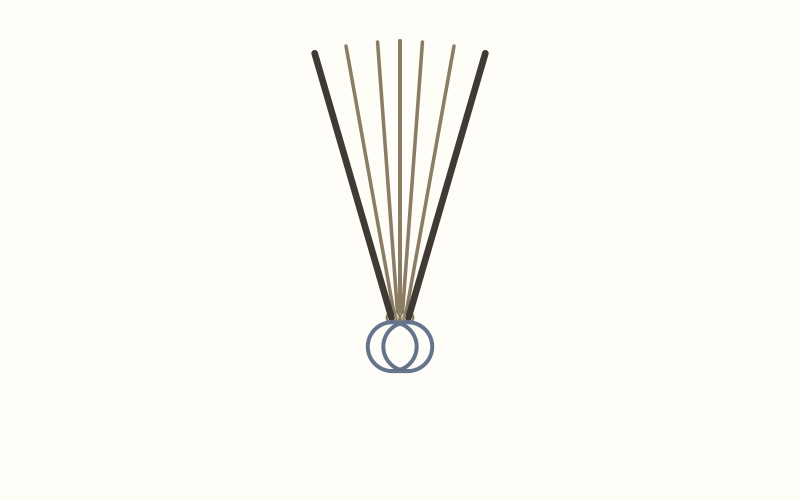 Wire-O binding: Cover lifting — the front cover rotates around the paired wire loops, independent of the rest of the stack